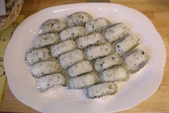 DSCN0259