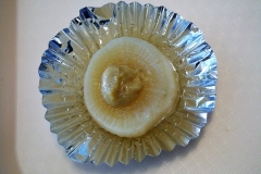 DSCN0278